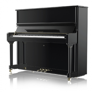 Hailun钢琴H-5P怎么样_海伦钢琴H-5P系列型号价格-河南欧乐琴行