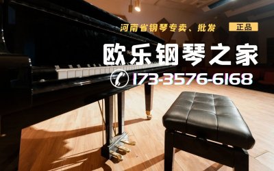<b>河南郑州市KAWAI卡瓦依钢琴专卖店</b>
